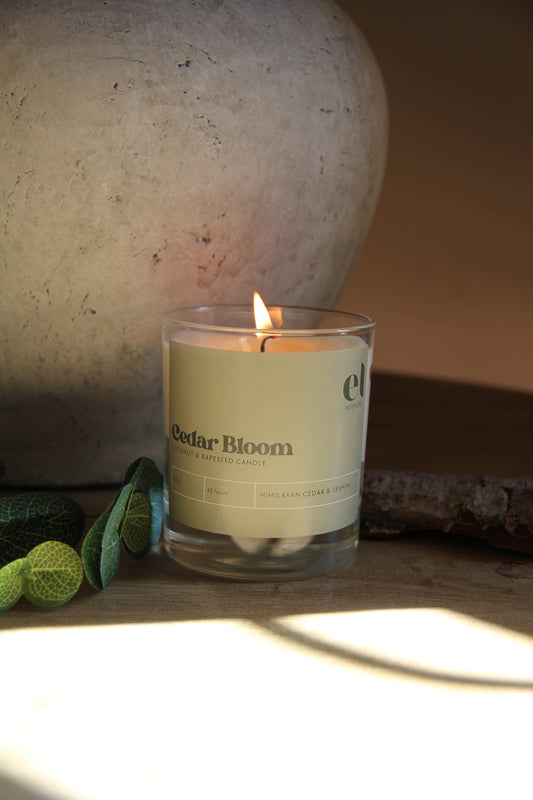 Cedar Bloom Candle | 30cl